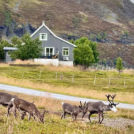Nyaraló Storbukta Arctic Hammerfest